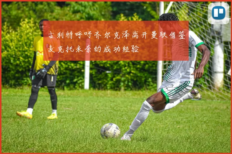 古利特呼吁齐尔克泽离开曼联借鉴麦克托米奈的成功经验
