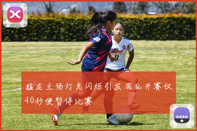 猛龙主场灯光闪烁引发混乱开赛仅40秒便暂停比赛