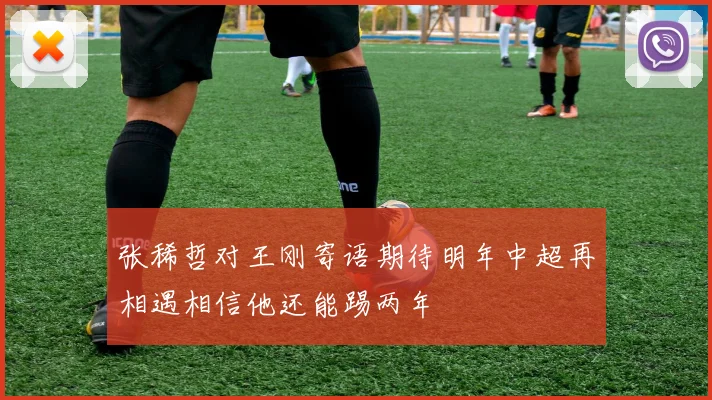 张稀哲对王刚寄语期待明年中超再相遇相信他还能踢两年