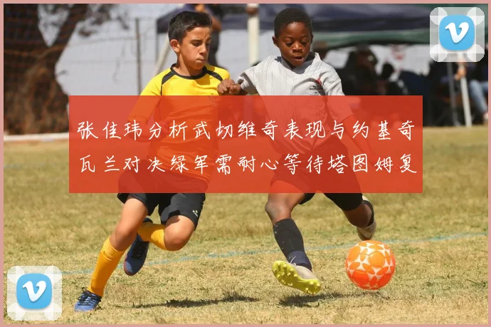 张佳玮分析武切维奇表现与约基奇瓦兰对决绿军需耐心等待塔图姆复出