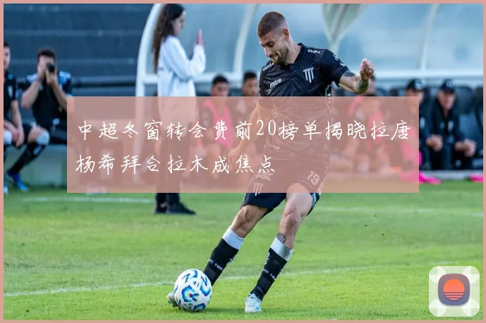 中超冬窗转会费前20榜单揭晓拉唐杨希拜合拉木成焦点