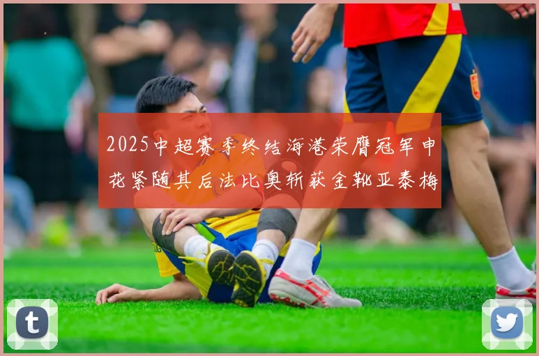 2025中超赛季终结海港荣膺冠军申花紧随其后法比奥斩获金靴亚泰梅州遗憾降级
